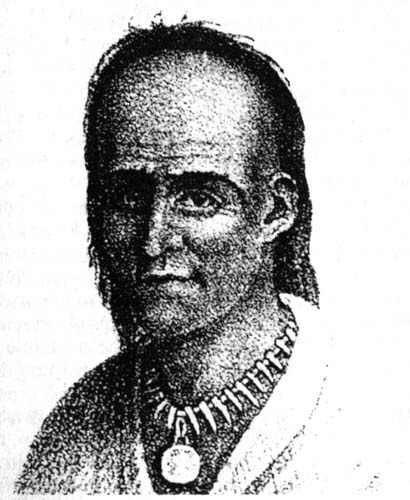 Piccola Tartaruga