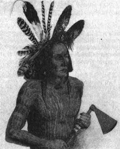 Quattro Orsi